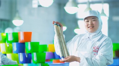 作品展示|BB电子