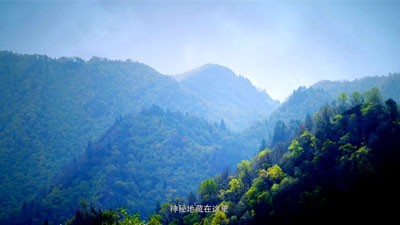 作品展示|BB电子