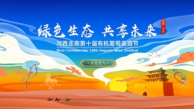 公司动态|BB电子